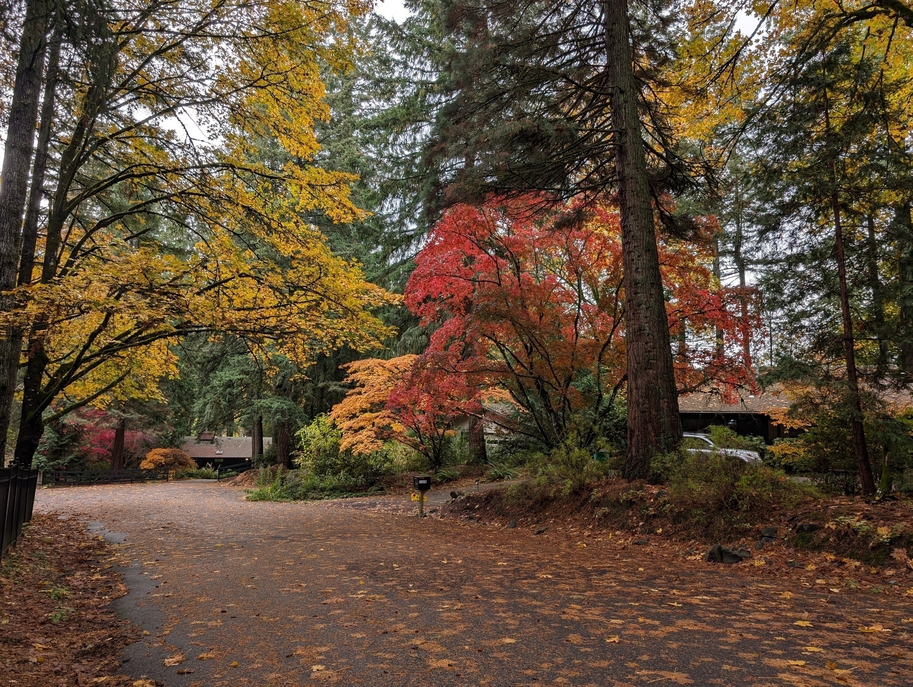 A dead end road surrounded by tall trees with vibrant autumn foliage in shades of yellow, red, and orange.