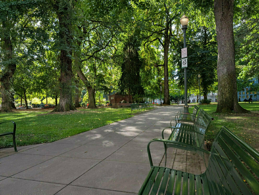 Auto-generated description: A peaceful park scene features a walkway lined with green benches and tall trees casting shade on the area.