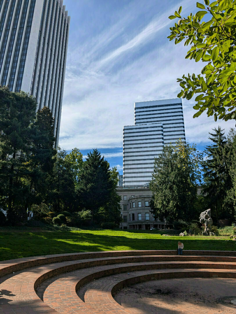 Auto-generated description: A tiered circular seating area in a park is framed by trees and surrounded by tall buildings under a partly cloudy sky.