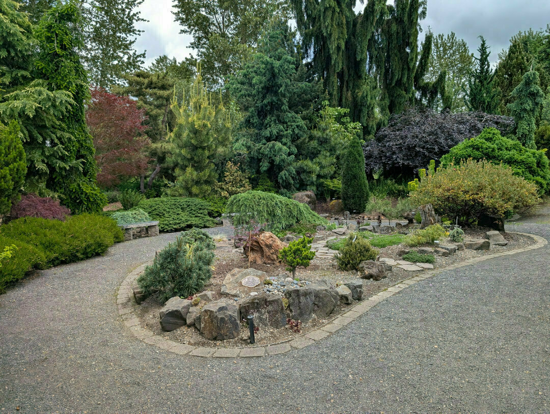 Auto-generated description: A well-manicured garden features a winding stone path surrounded by lush greenery and various shrubs and trees.