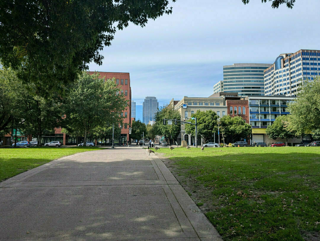 Auto-generated description: A park pathway leads to a city street lined with a mix of modern and older buildings, surrounded by trees, under a cloudy sky.