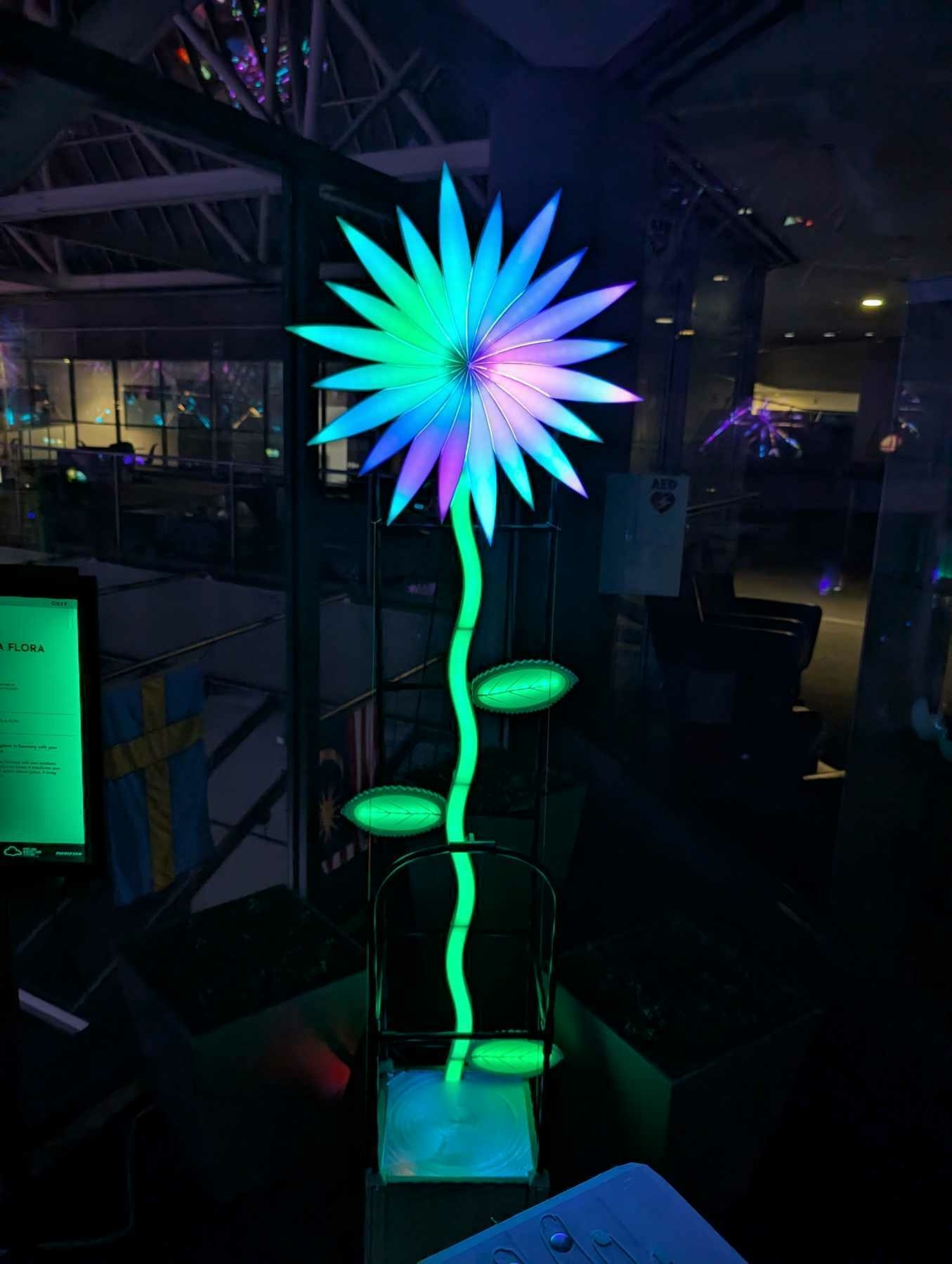 Auto-generated description: A glowing, tall artificial flower with bright petals and three round leaves is illuminated in a dark room.