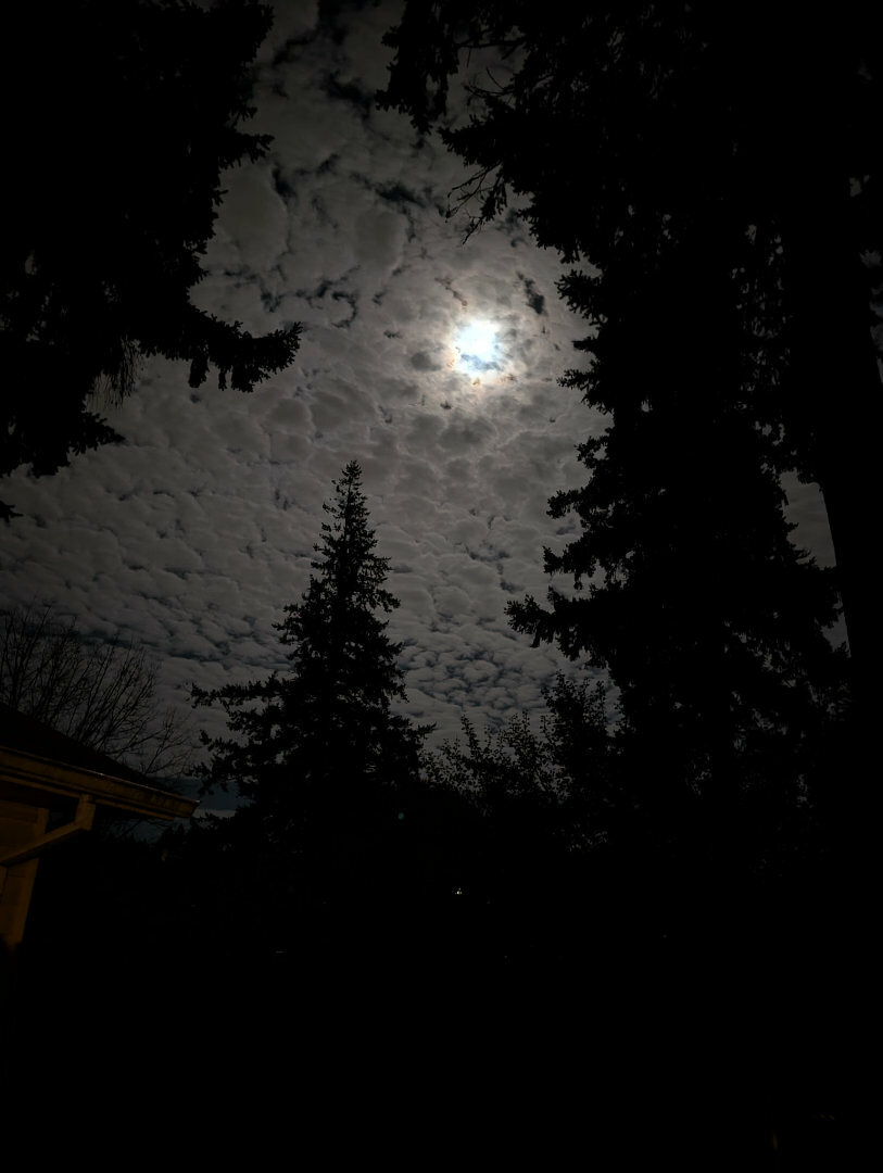 Auto-generated description: A moonlit night sky is partially obscured by scattered clouds and framed by silhouetted trees.