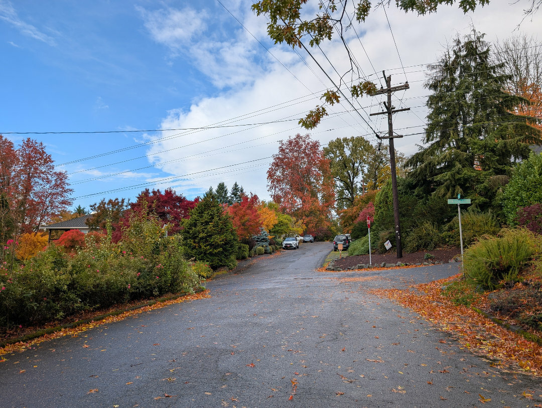 Auto-generated description: A suburban street is surrounded by vibrant autumn foliage, with a clear blue sky and cars parked along the road.