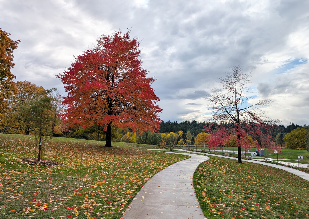 Auto-generated description: A winding path cuts through a park with vibrant autumn foliage and cloudy skies above.