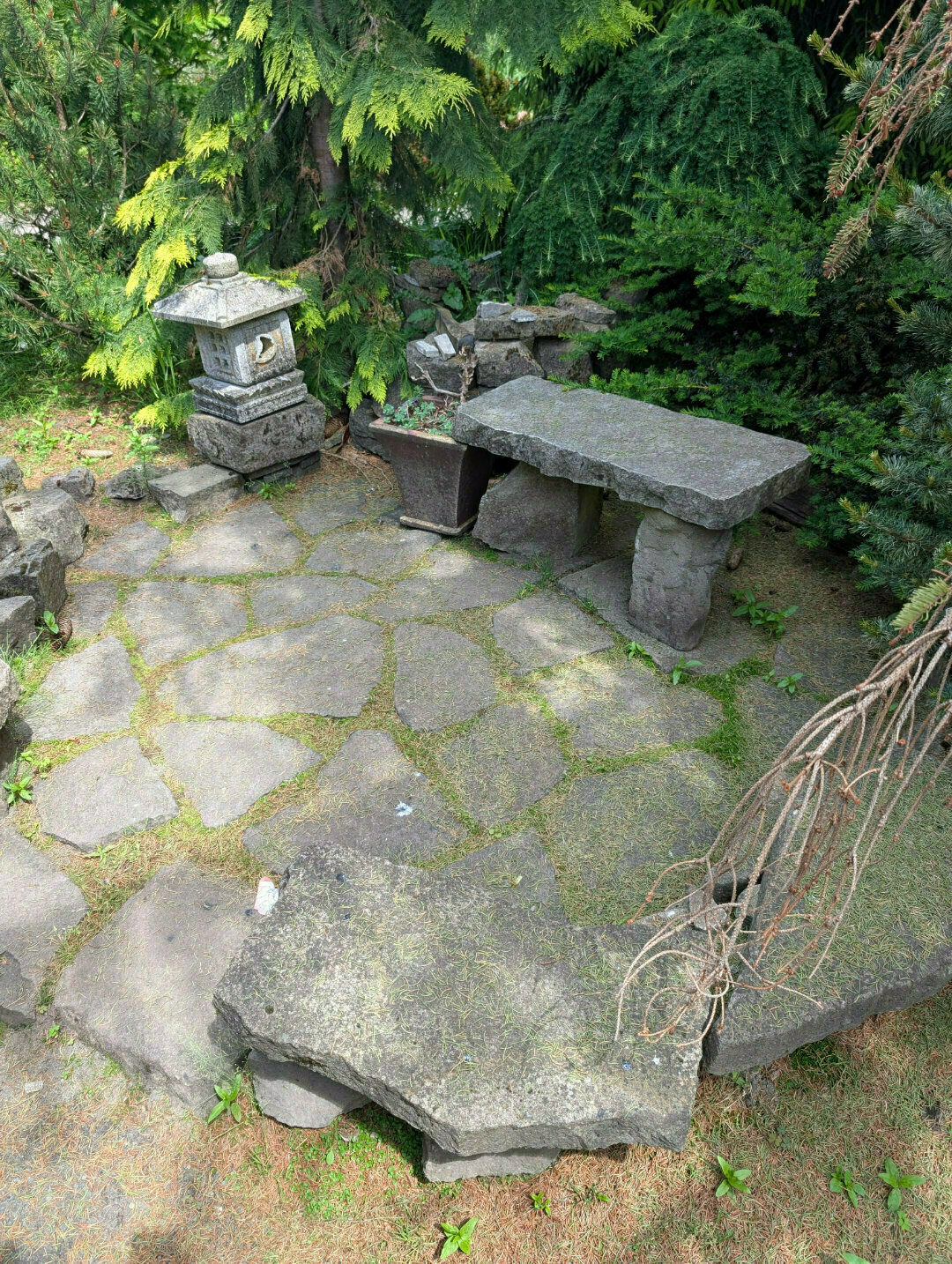 Auto-generated description: A serene garden scene features a stone bench, a lantern, and a stone path surrounded by lush greenery.