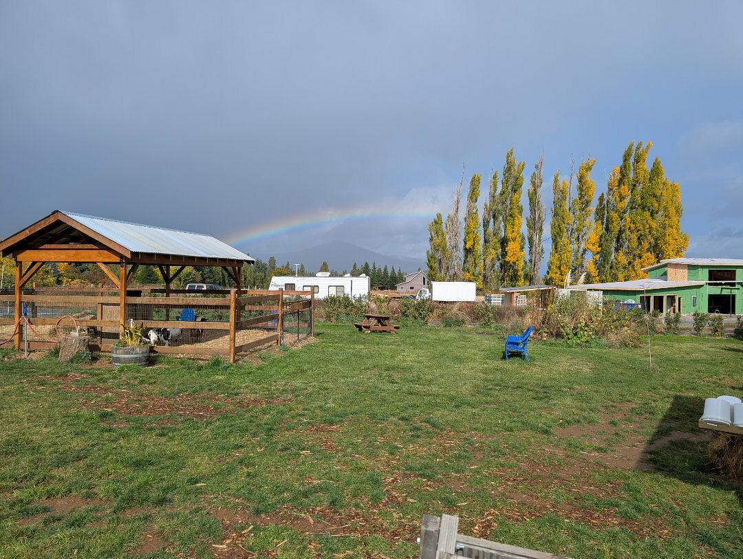 A rainbow over a farm