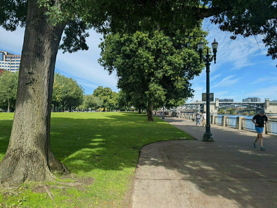 Auto-generated description: A scenic walkway with people strolling along a riverside park, featuring large trees and a distant bridge.