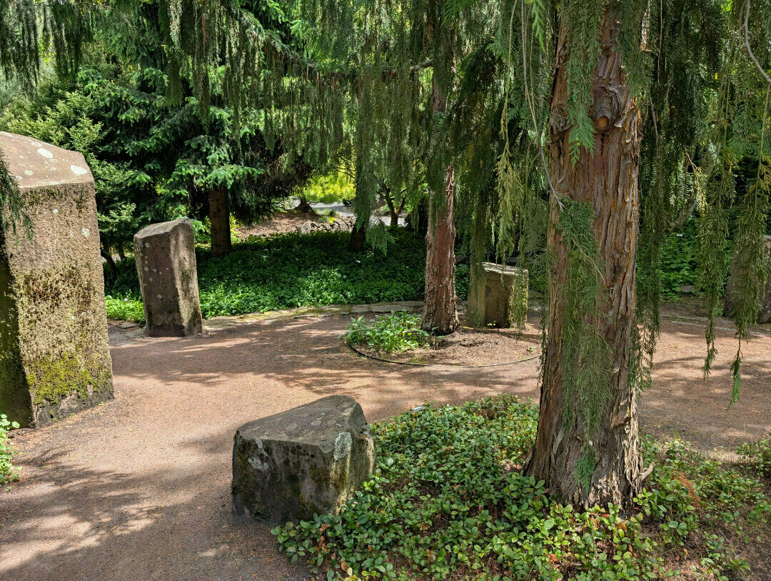 Auto-generated description: A serene woodland scene features tall trees with hanging branches, moss-covered rocks, and a dirt path surrounded by greenery.