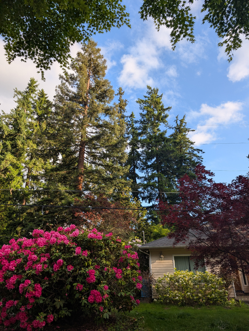 Auto-generated description: A quaint house is surrounded by lush trees and colorful flowering bushes under a blue sky.