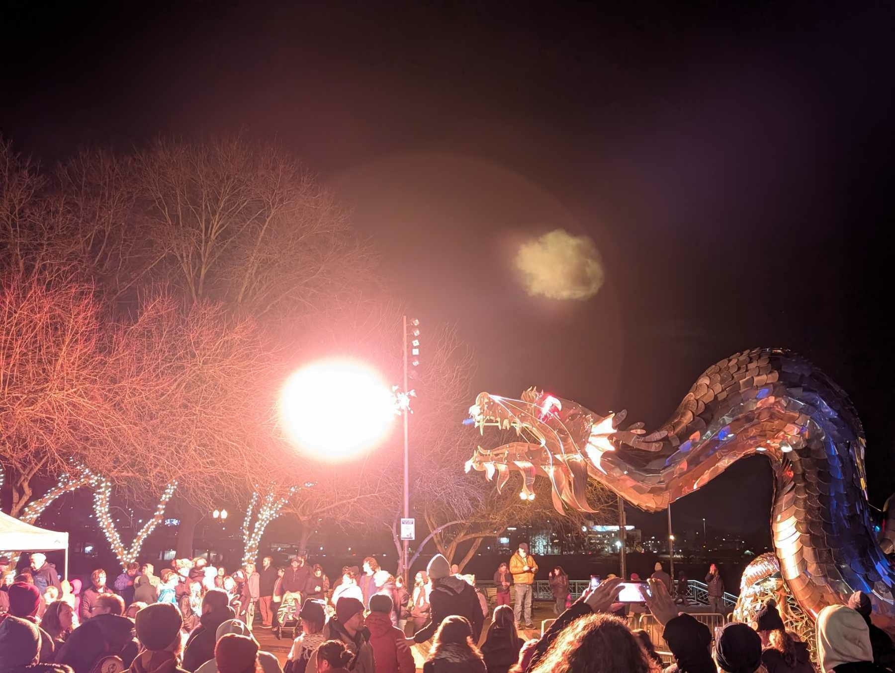 Auto-generated description: A large, illuminated dragon sculpture breathes fire in front of a crowd at night, with decorated trees and a bright fireball in the sky.