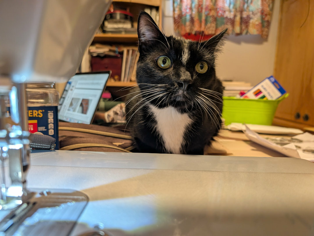Auto-generated description: A black and white cat with wide eyes sits on a desk next to a sewing machine, surrounded by various objects.
