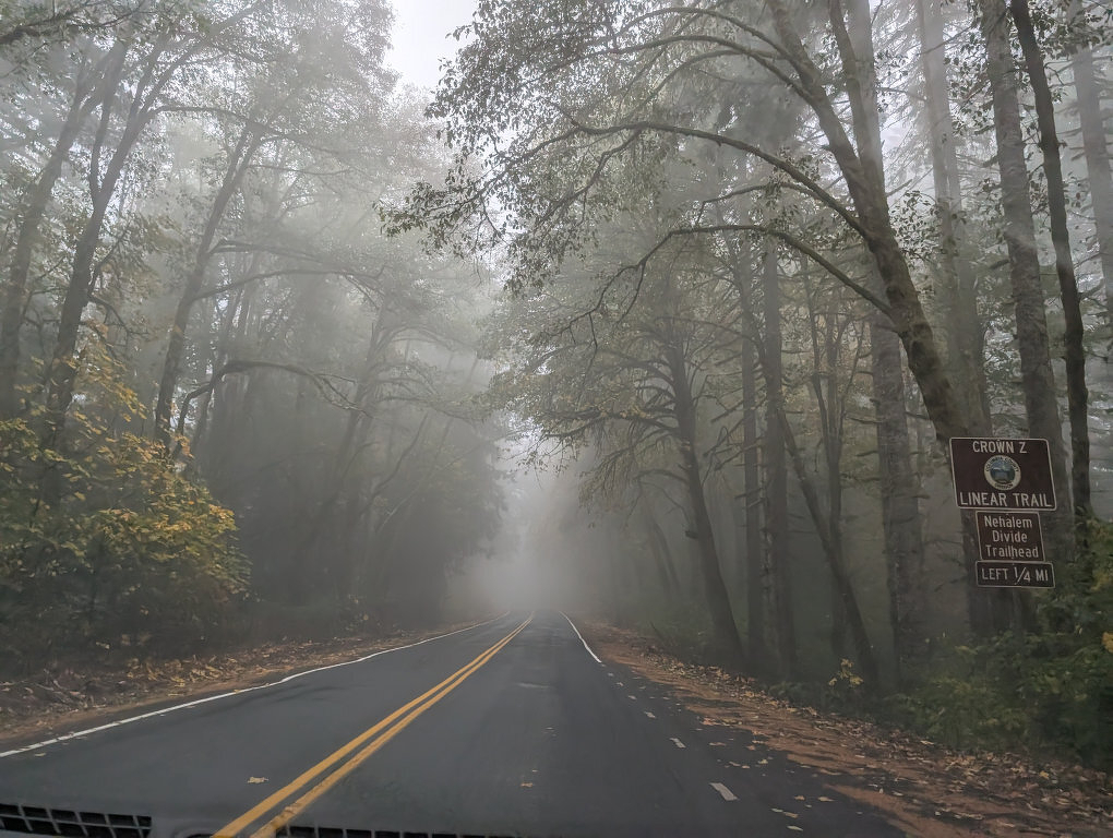 Auto-generated description: A foggy road lined with tall trees on both sides leads into a misty forest, with a trailhead sign visible on the right.