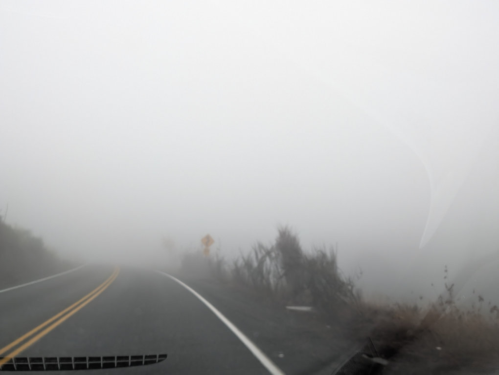 Auto-generated description: A foggy road with limited visibility and some vegetation along the side is shown.