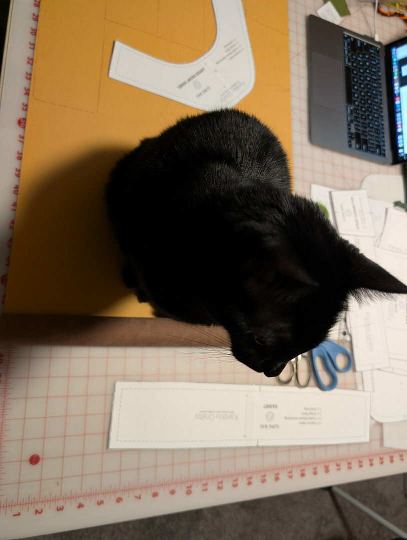 Auto-generated description: A black cat is sitting on a workspace with pattern pieces, a laptop, and scissors.