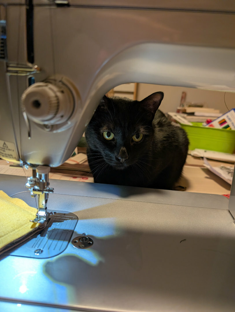 Auto-generated description: A black cat is peering through a sewing machine while fabric is being stitched.