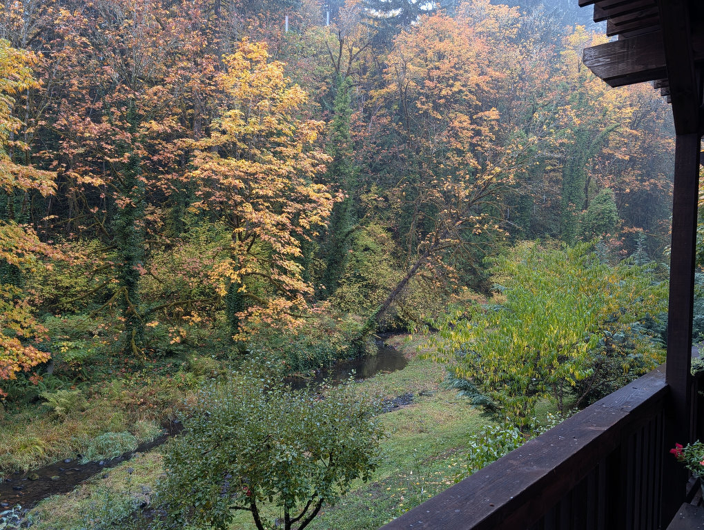 Auto-generated description: A serene forest scene with autumn-colored trees and a small stream is viewed from a wooden balcony.