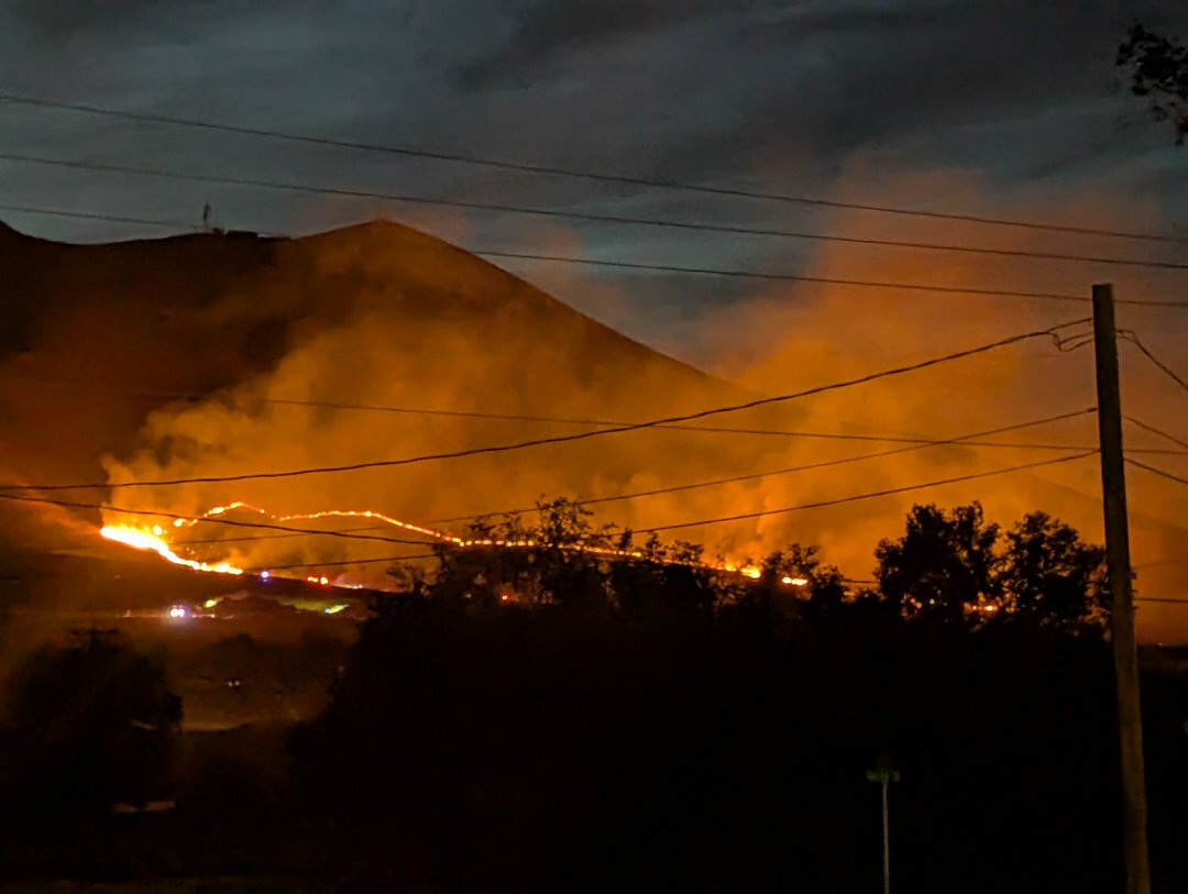 Auto-generated description: A hillside is engulfed in flames and smoke, with a dark sky and silhouetted trees and power lines in the foreground.